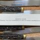 Set of 10 Pradel Laguîole knives
