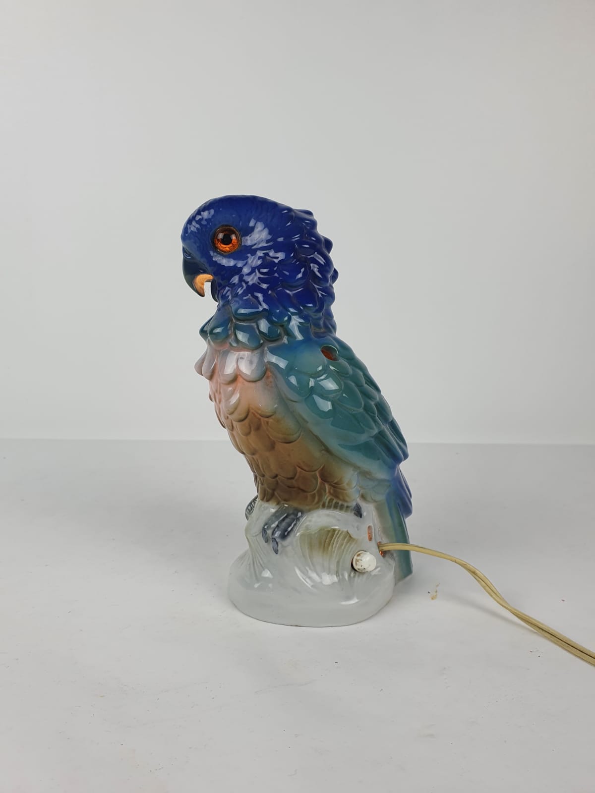Night light parrot, twentieth century