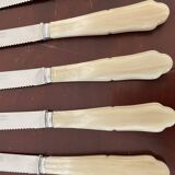 Set of 12 vintage knives and case