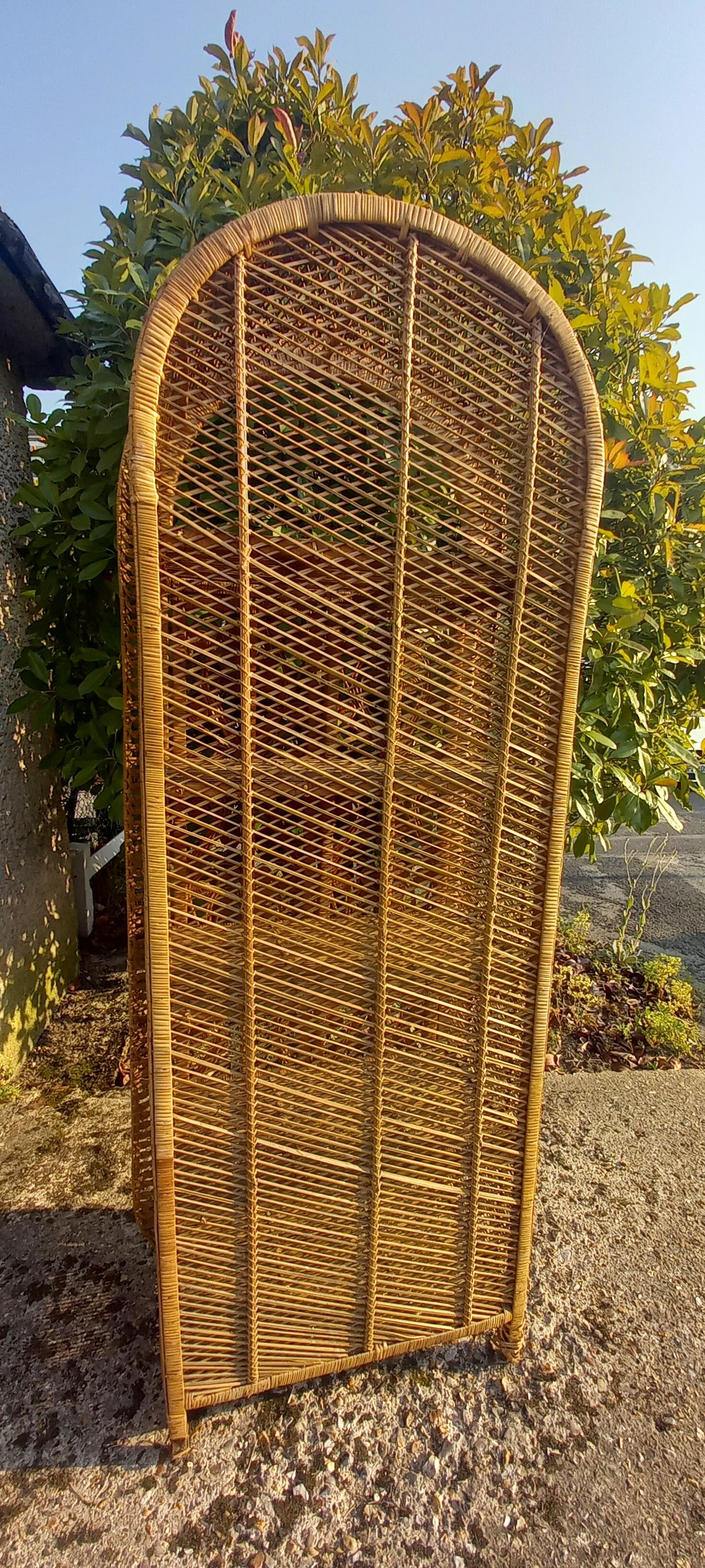 Wicker furniture