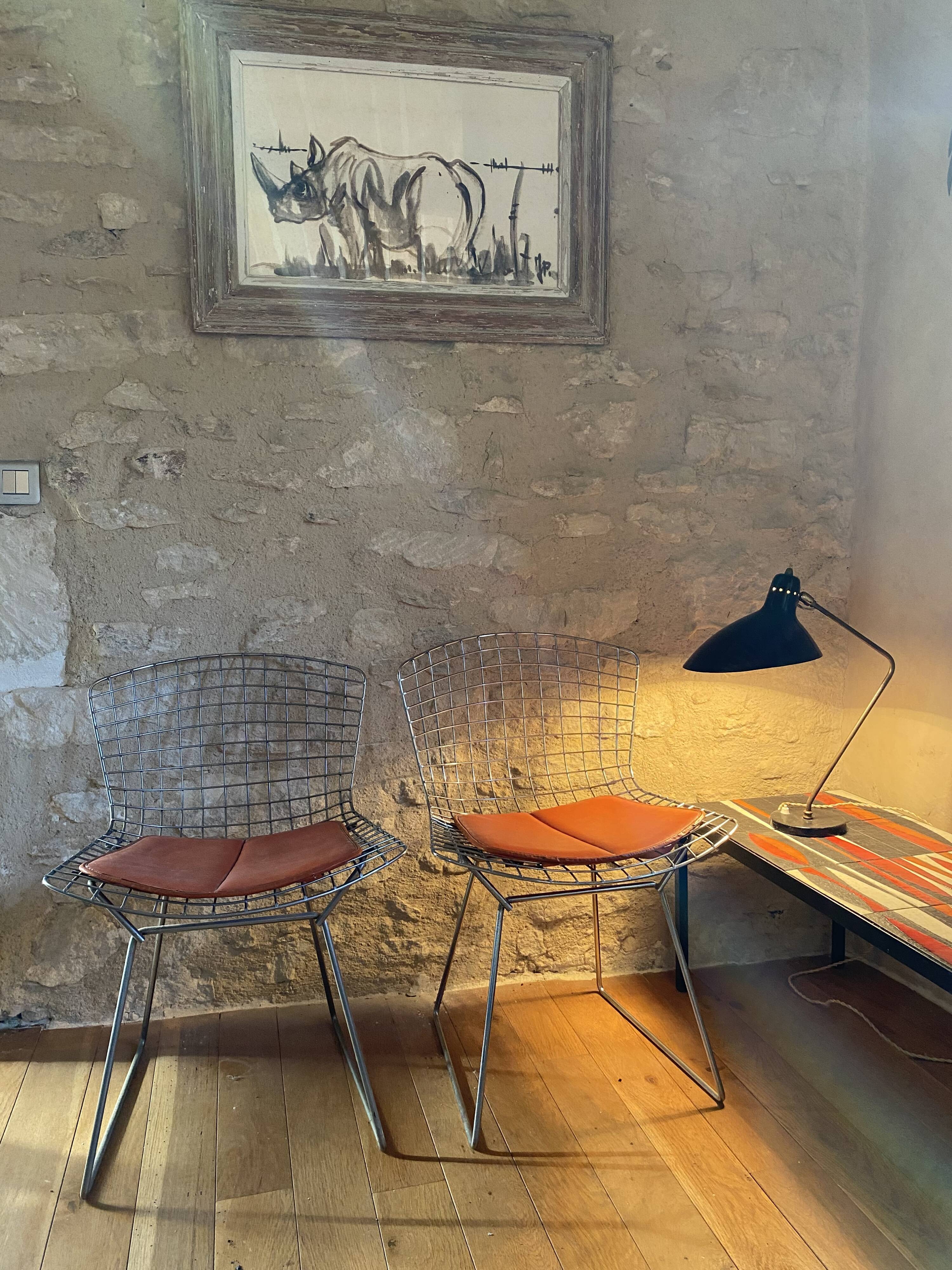 Chairs by Harry Bertoia 1960