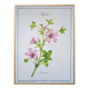 Printed in 1986, the Mauve. Vintage Botany.