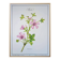 Printed in 1986, the Mauve. Vintage Botany.