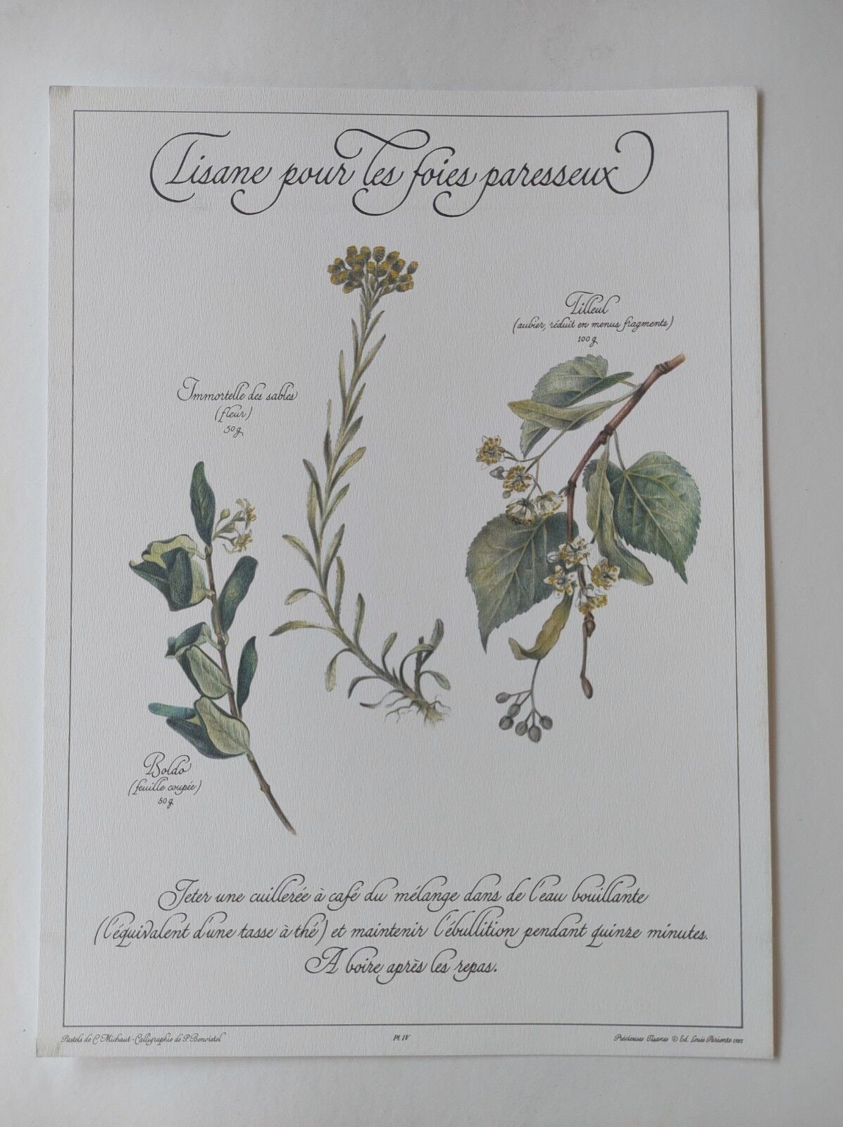 Botanical engraving -Herbal tea for lazy times- Illustration of medicinal plants and herbs