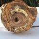 Vintage wood brutalist lamp 50s