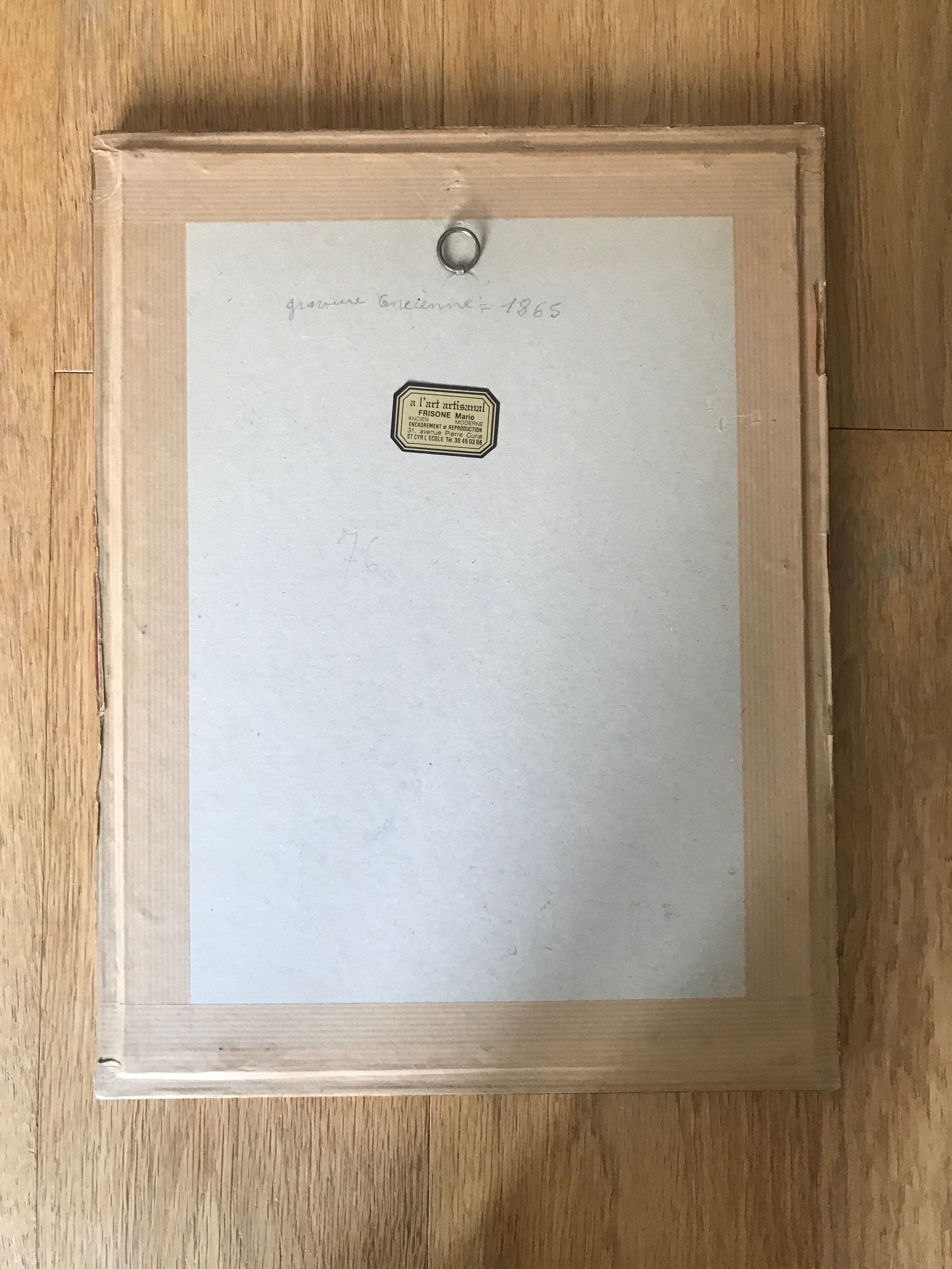 Framed ancient botanical board