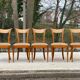 5 chaises Louis XVI bois massif et daim beige carrelé