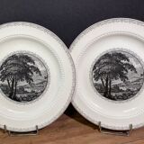 Suite of 5 large English ceramic plates Royal Cauldon Bristol Ironstone "Scenario"
