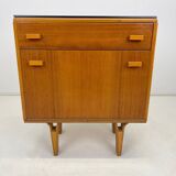 Cabinet or Bedside Table by Frantisek Mezulanik, 1960's