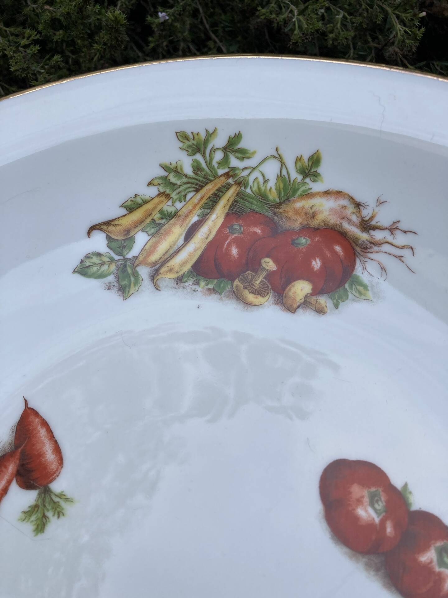 Plat maraîcher gravures botaniques d’antan