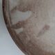 Stoneware dinner plate