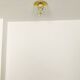 1 of 2 Large Brass and Floral Ice Glass Flush Light by Glashütte Limburg