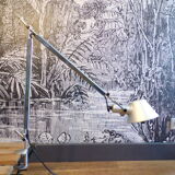 Tolomeo tavolo lamp with clamping vice