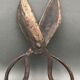 Scissors for shearing sheep
