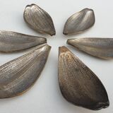 Set of 6 petals brass display