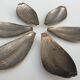 Set of 6 petals brass display