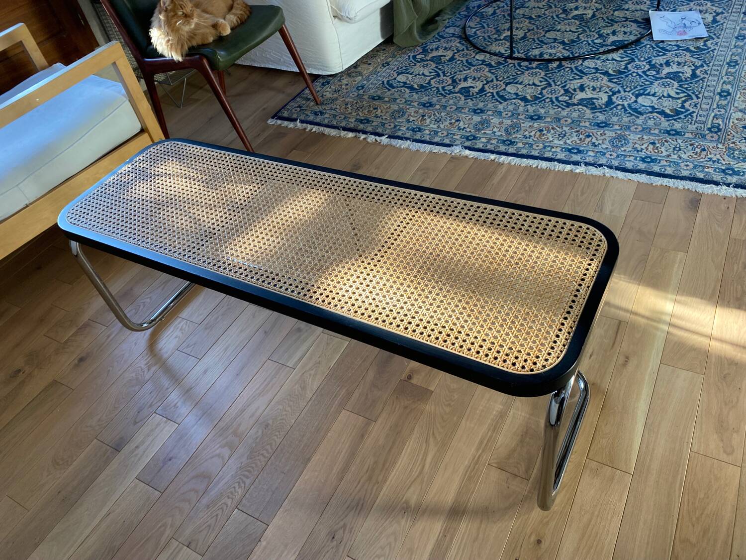 Banc en cannage, bois noir et métal chromé modèle Panchira