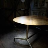 Dining room table Castelli