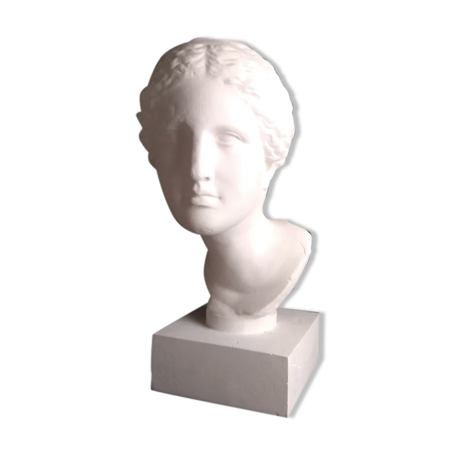 Venus known as Martre Tolosane | Musée Toulouse