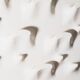 Coat rack Slab by De Pas, D'Urbino & Lomazzi for Longato, Italy, to