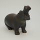 Hippopotamus