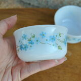 Series of 4 Scania and Veronica ramekins from Arcopal 70s/80s