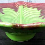 Fruit cup fpp Vallauris