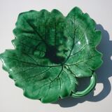 Green vine leaf plate
