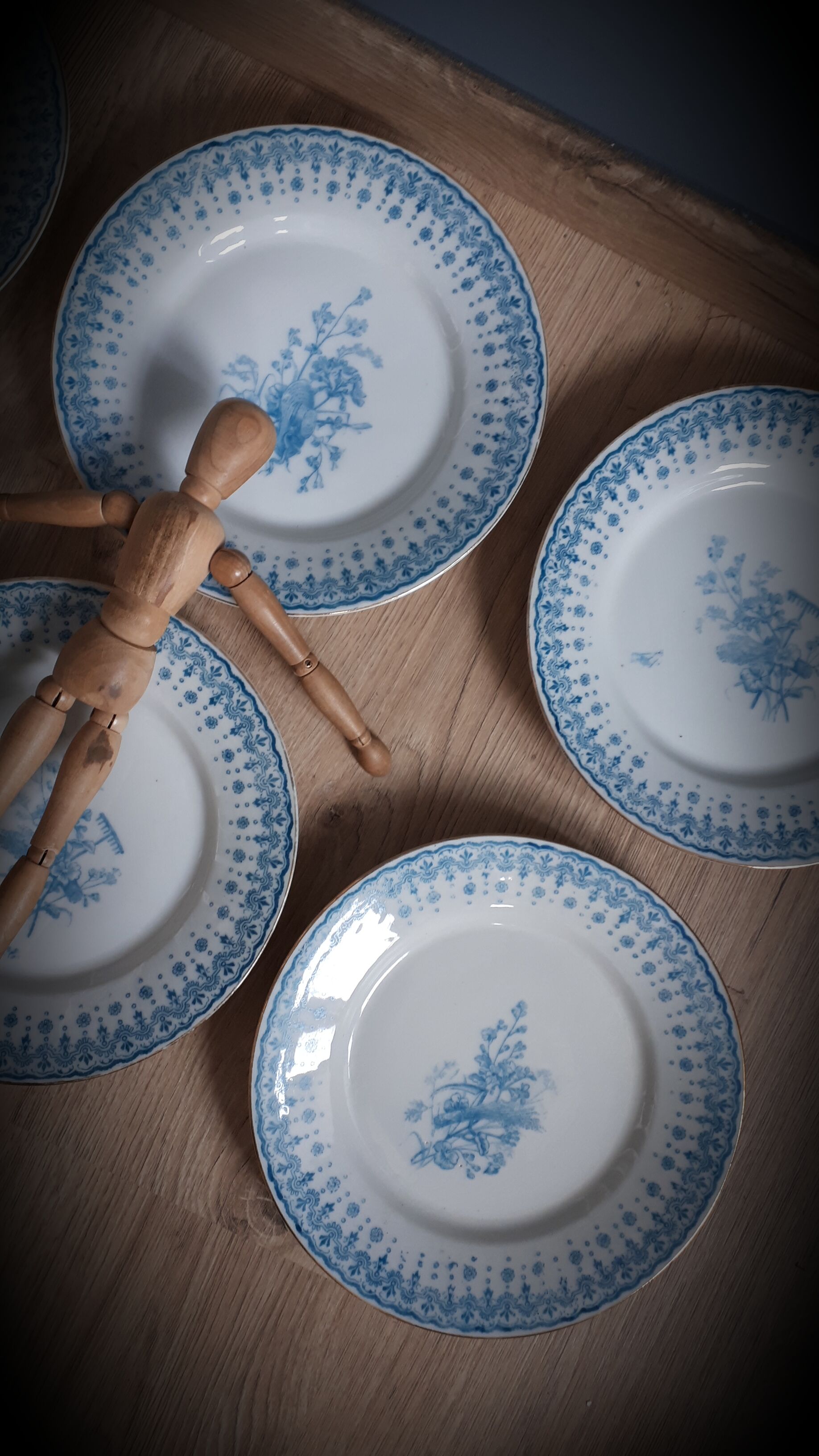 Set 6 flat plates Harvest