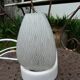 ceramic bathroom wall light with glass tulip from the 1950s