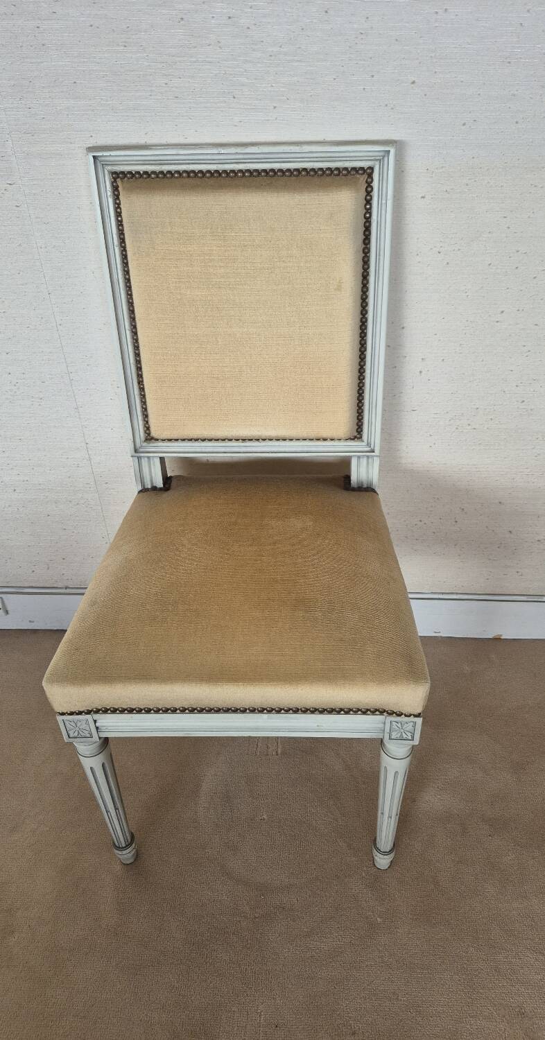 Chaise style Louis XVI assise velours beige doré