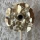 Ecru metal flower wall sconce
