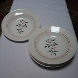 6 deep plates Alpes / Givors