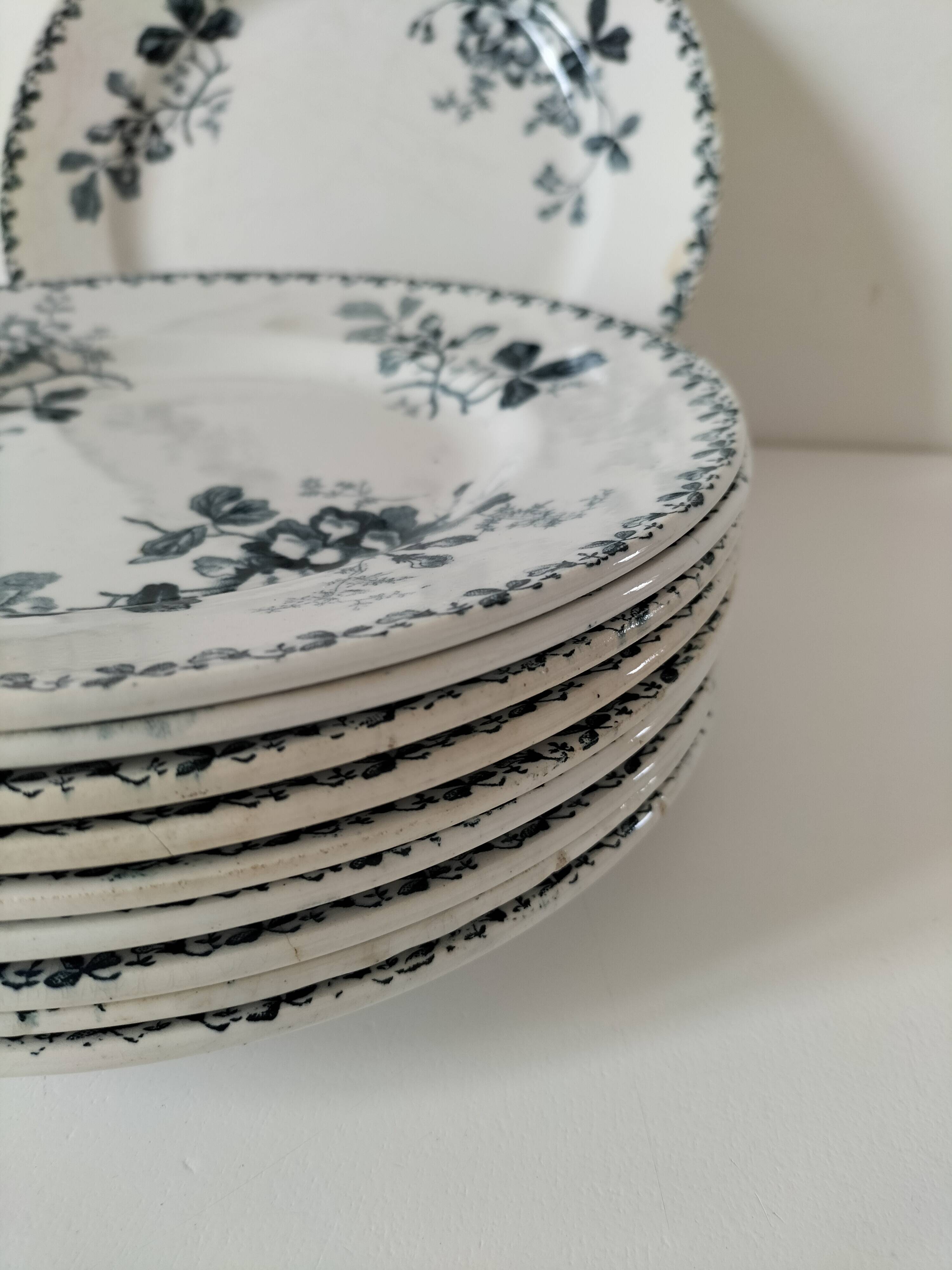 Set of 10 ironstone plates Moulin des Loups Acacia