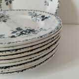 Set of 10 ironstone plates Moulin des Loups Acacia