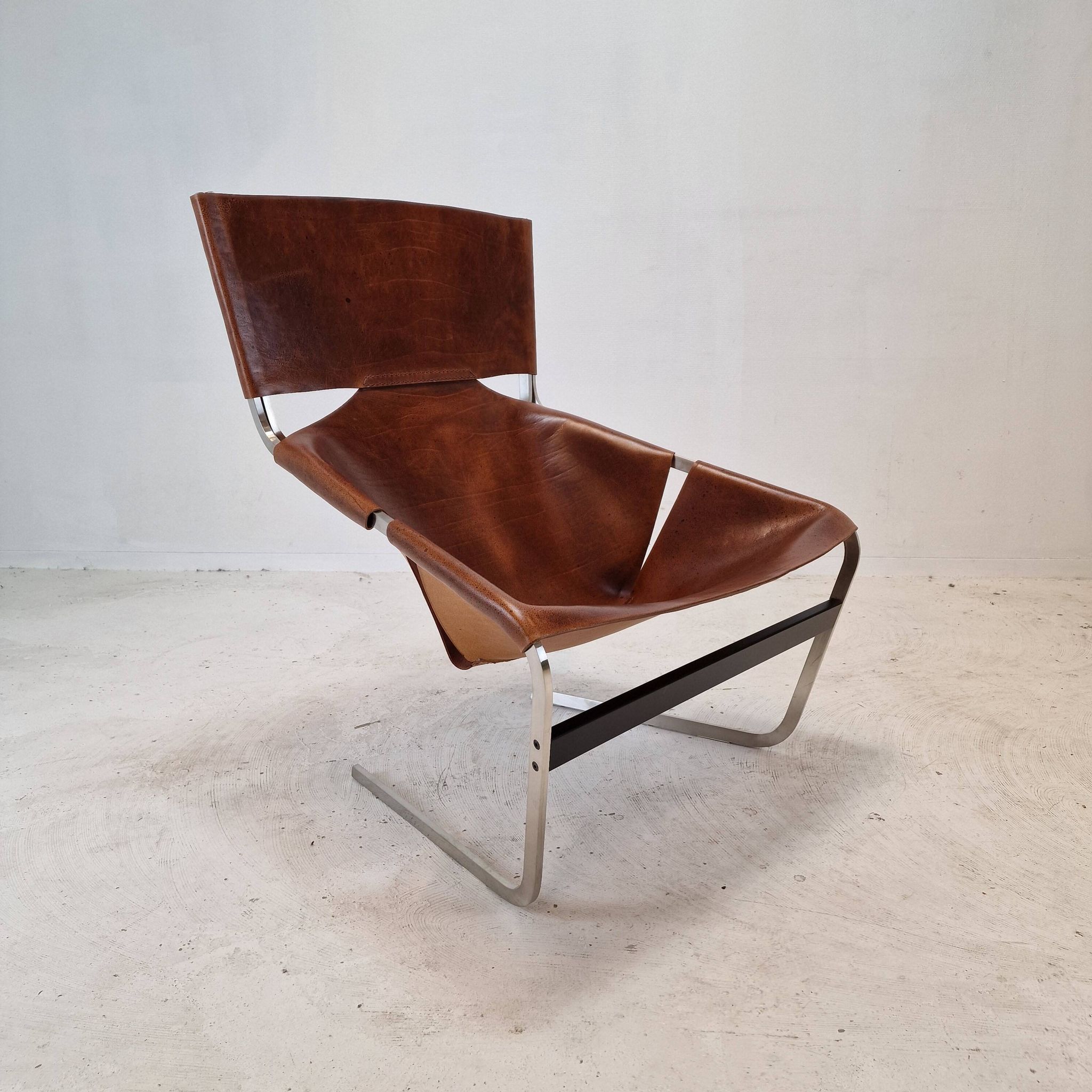 Set of 2 Model F444 Lounge Chairs by Pierre Paulin for Artifort, 1960s