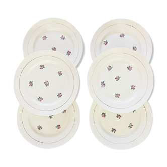 Lot de 6 assiettes plates Ceranord fleuries
