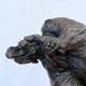 Bronze animalier, two fighting panthers by Georges Gardet, 1920