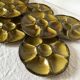 Vintage ceramic oyster plates from Gien