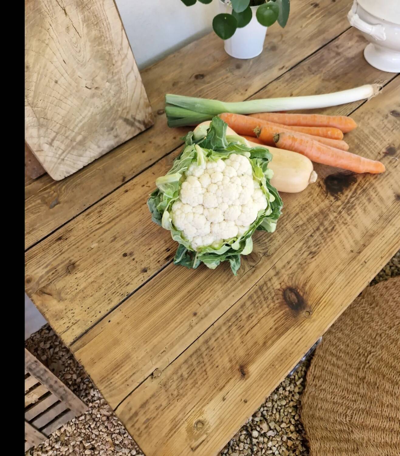 Professional furniture