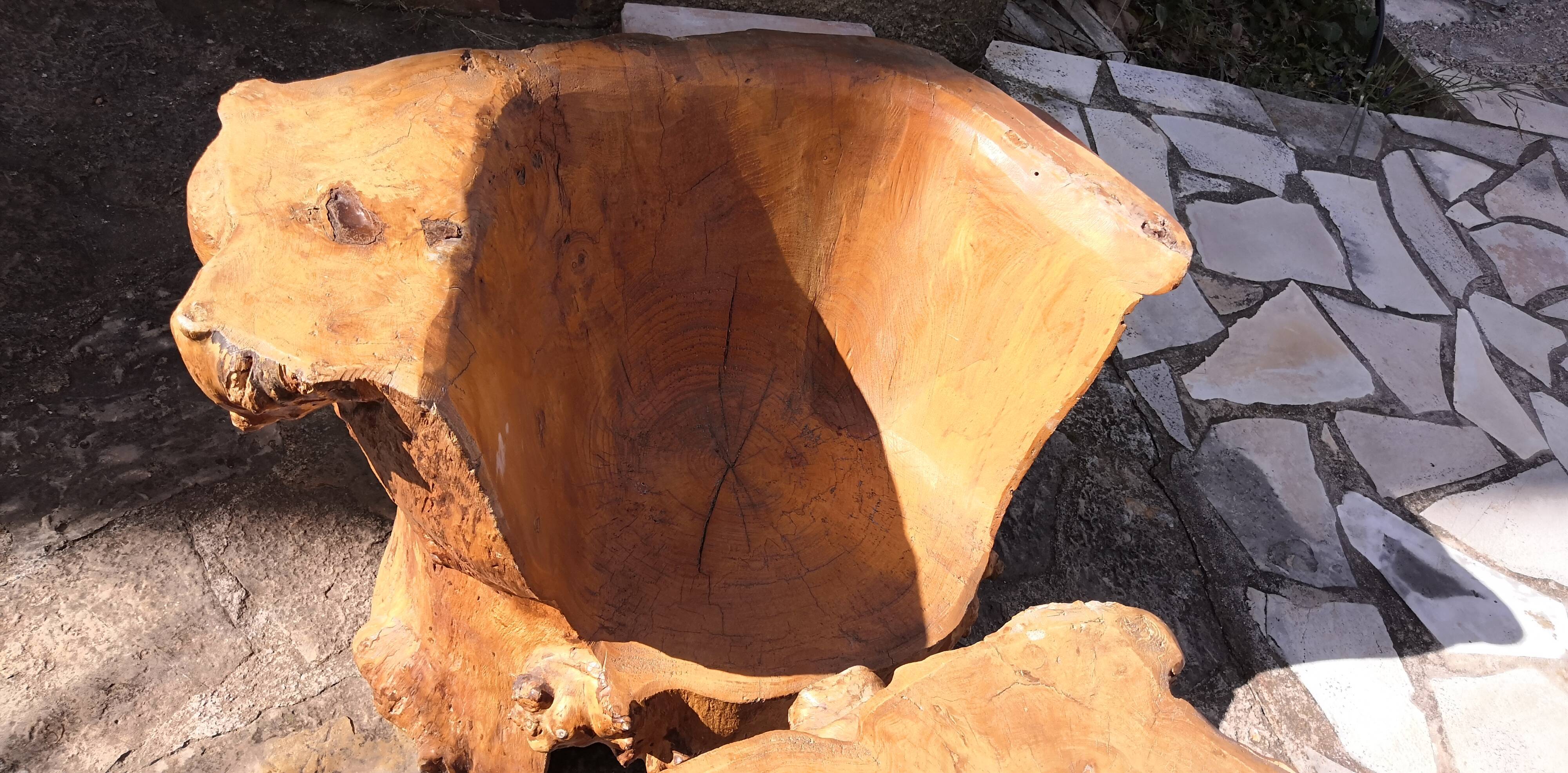 Living room 2 armchairs & coffee table in elm brutalist design 1950