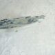 Old blue and white Delft decorative plate with Chinese motifs