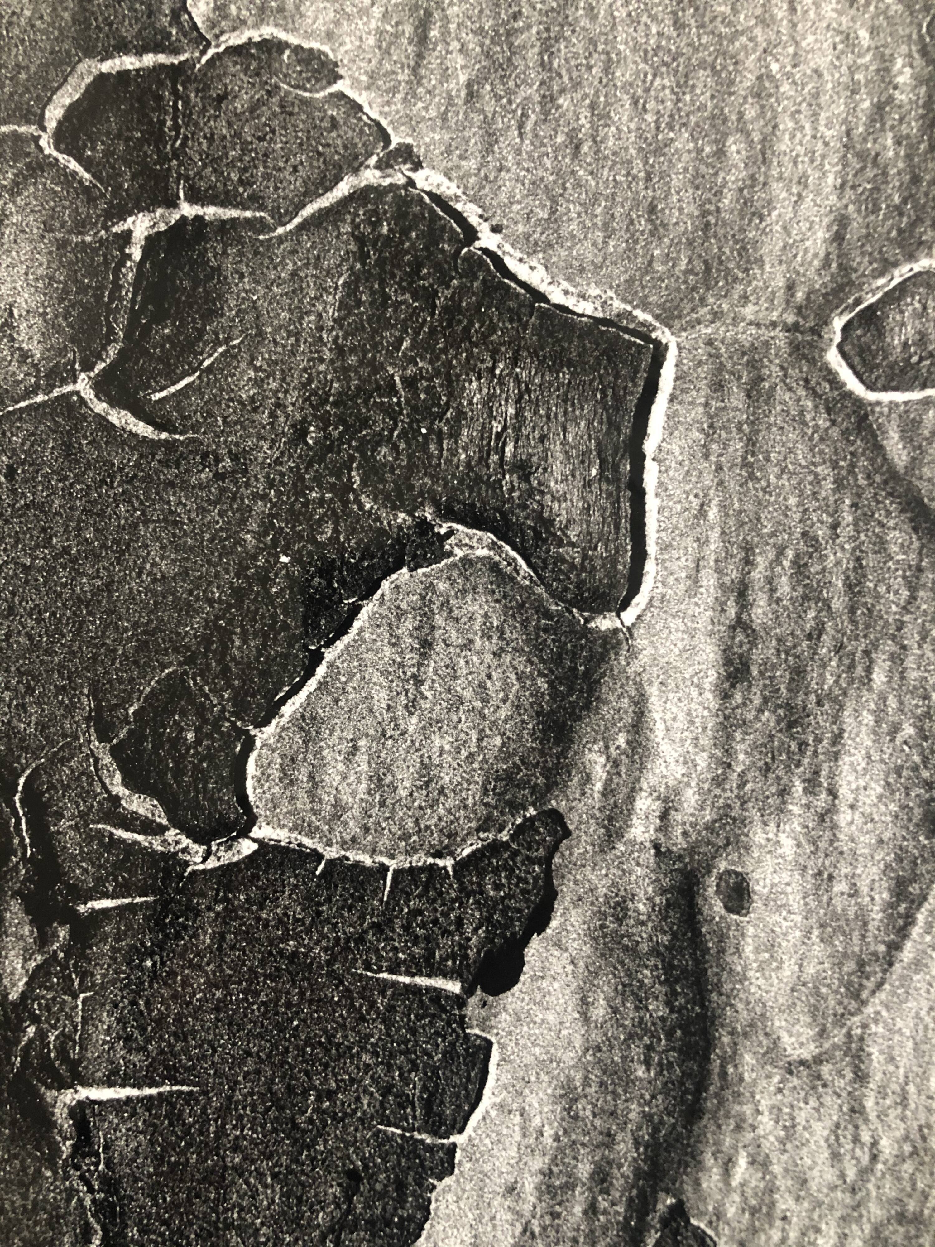 Black and white film photography