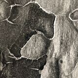 Photographie noir et blanc argentique