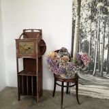 Art nouveau music furniture