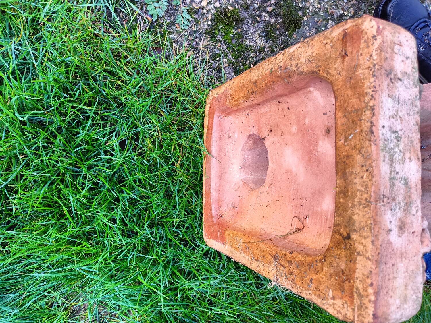 Pair of old terracotta garden lions