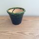Glazed terracotta flowerpot