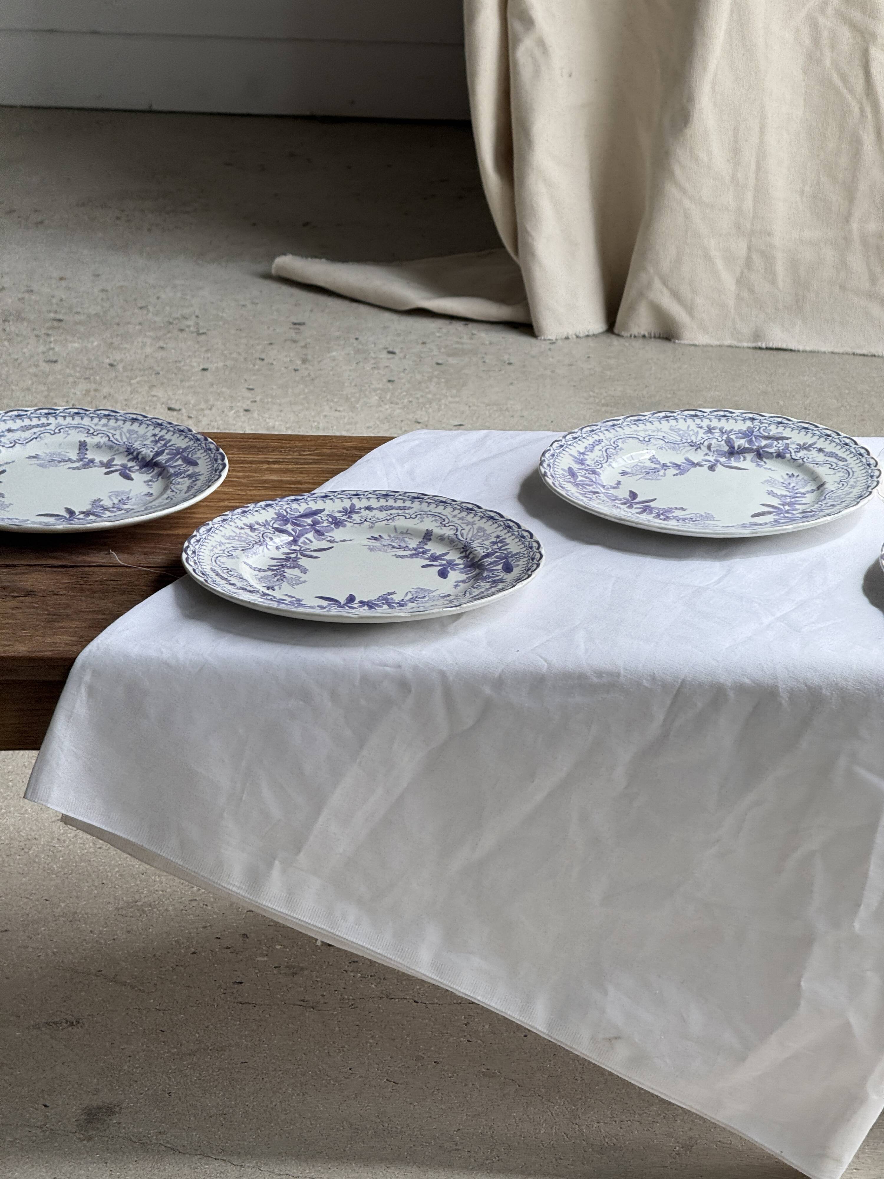 Set of 5 flat plates in earthenware with a lavender floral design H2 D22