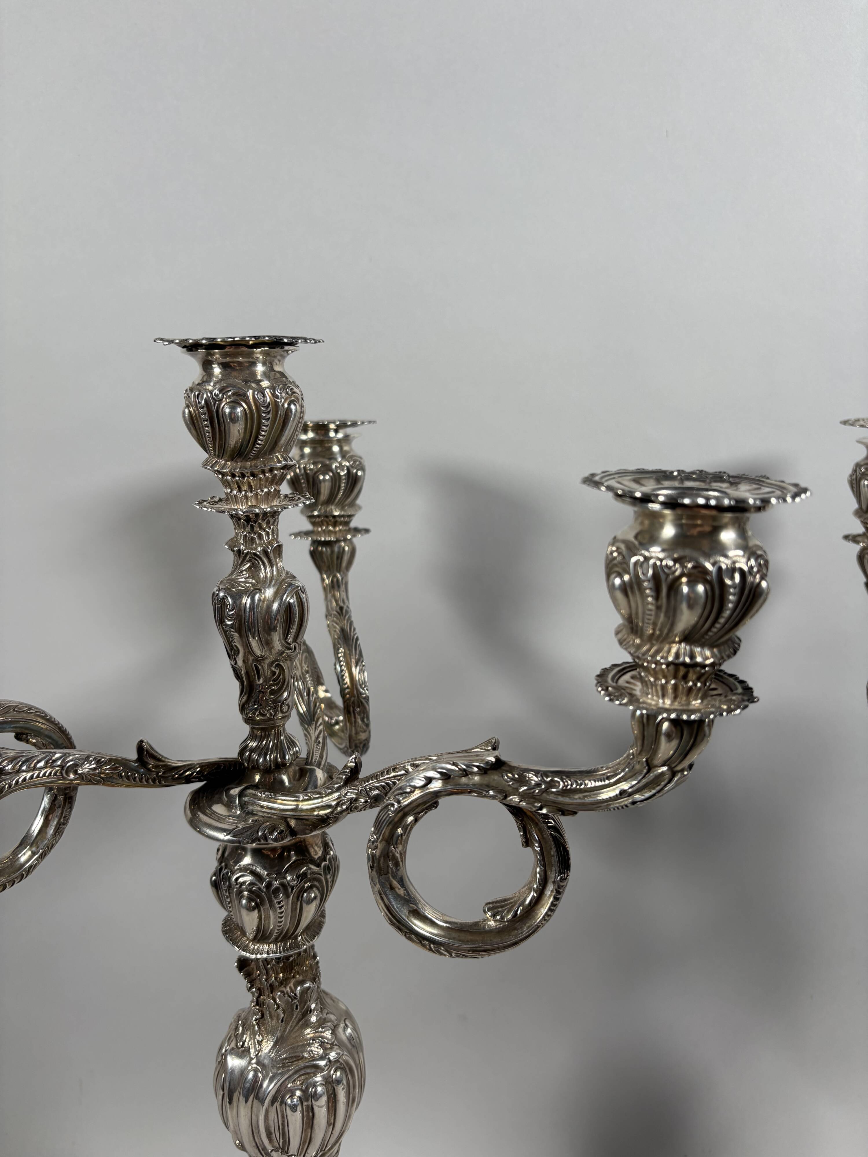 Pair of rocaille candelabra in solid 950 silver Louis XV style