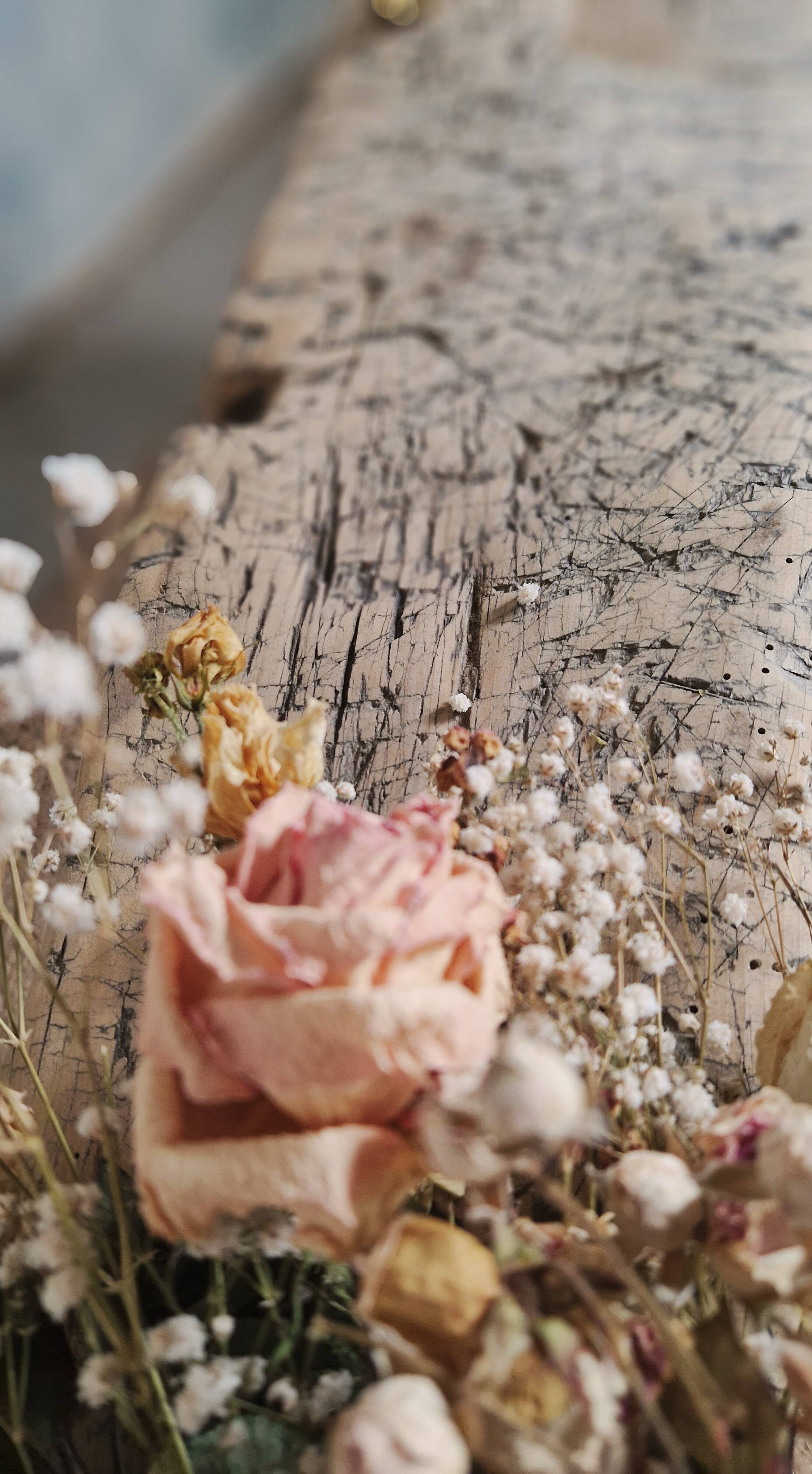 Beautiful old bench/workbench